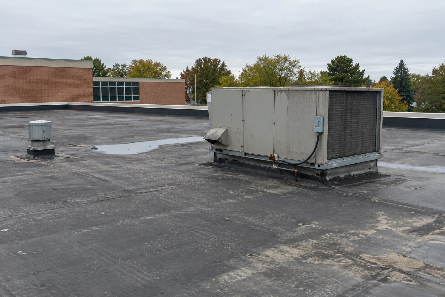 Commercial Roofing for School Districts in Alexandria, VA