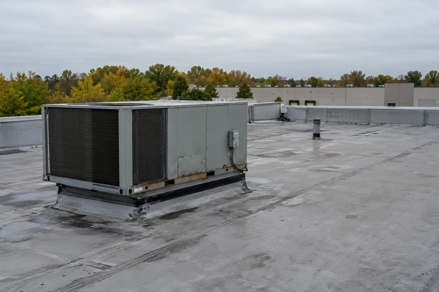 Cold Storage Roofing in Alexandria, VA